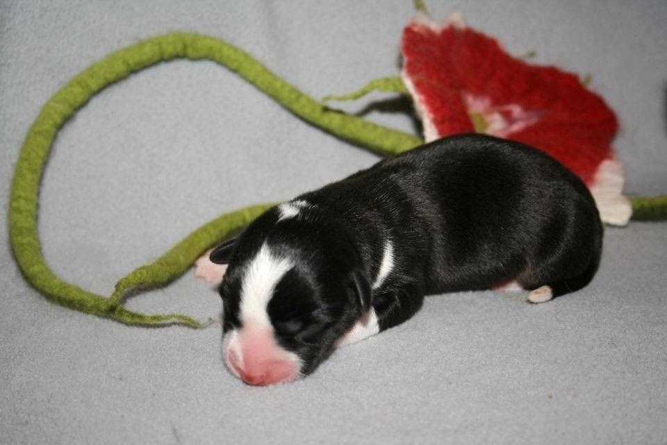 Ethel